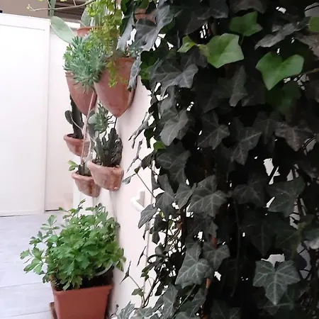 Bed and Breakfast Litium 3