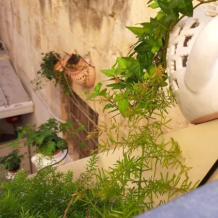 Litium 3 فندق مبيت وإفطار 4*